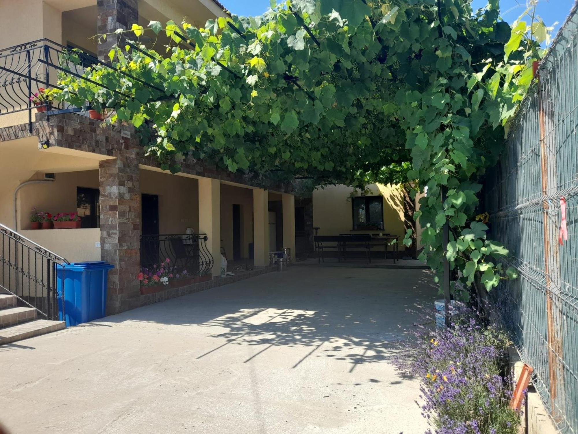 Casa Sya Hotel Vama Veche Exterior foto